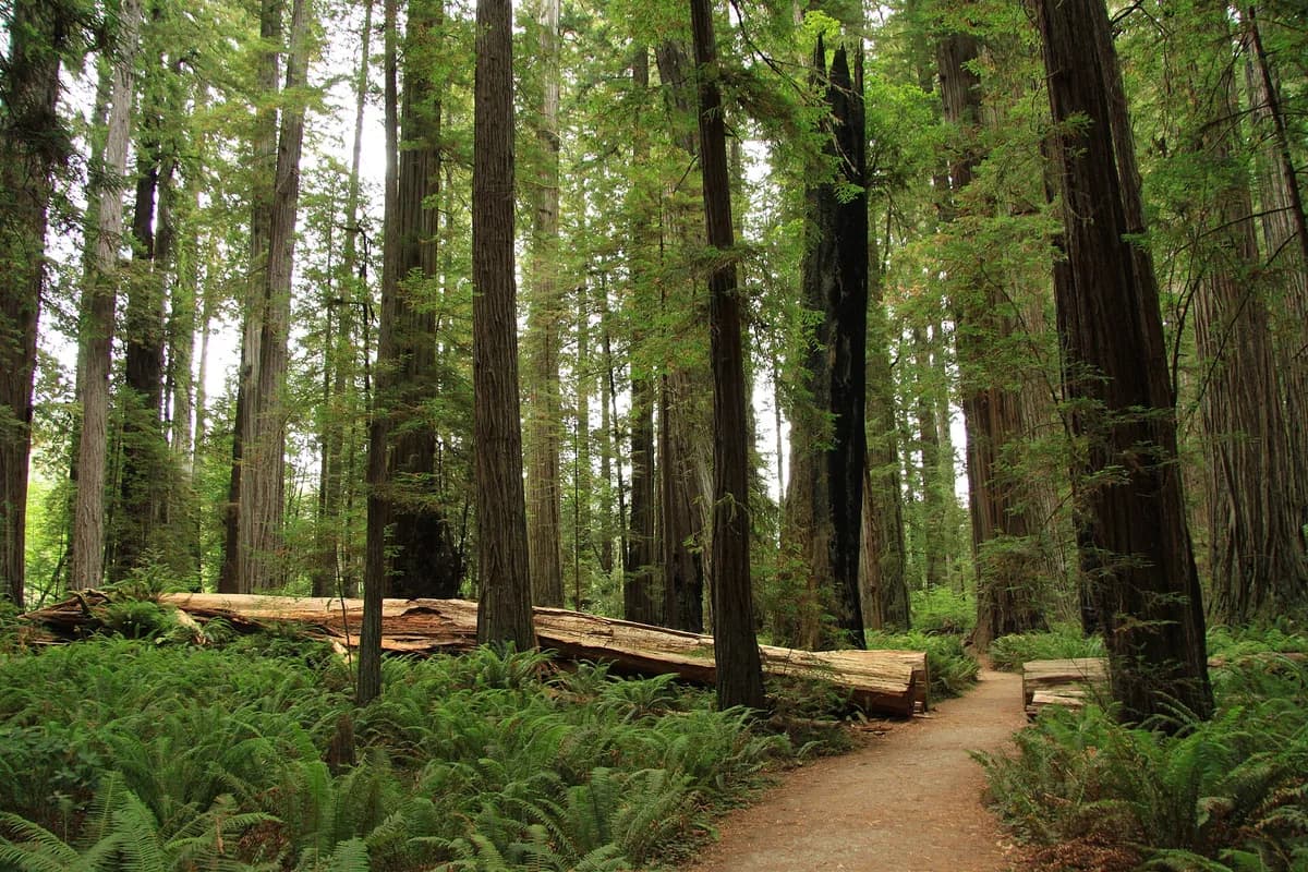 Del Norte County, California