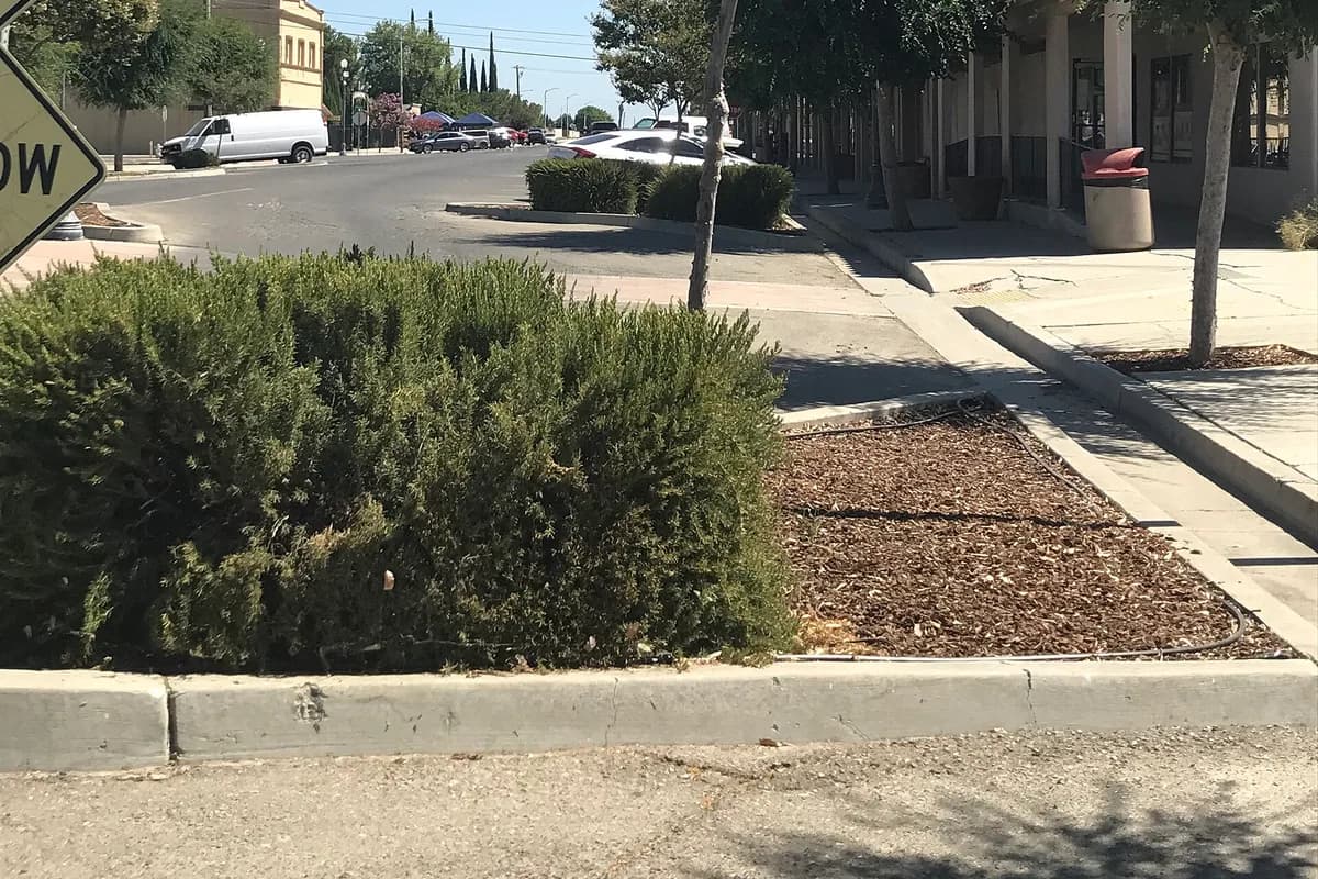 San Joaquin, Fresno County