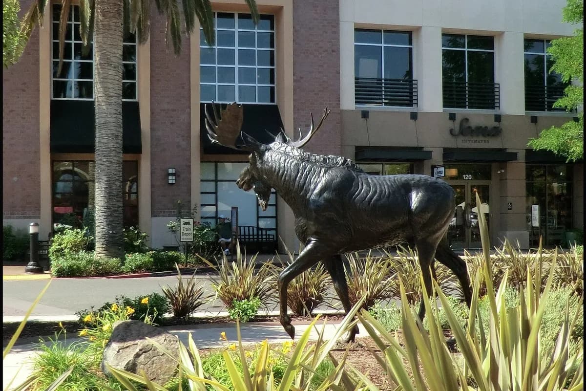 Roseville, Placer County