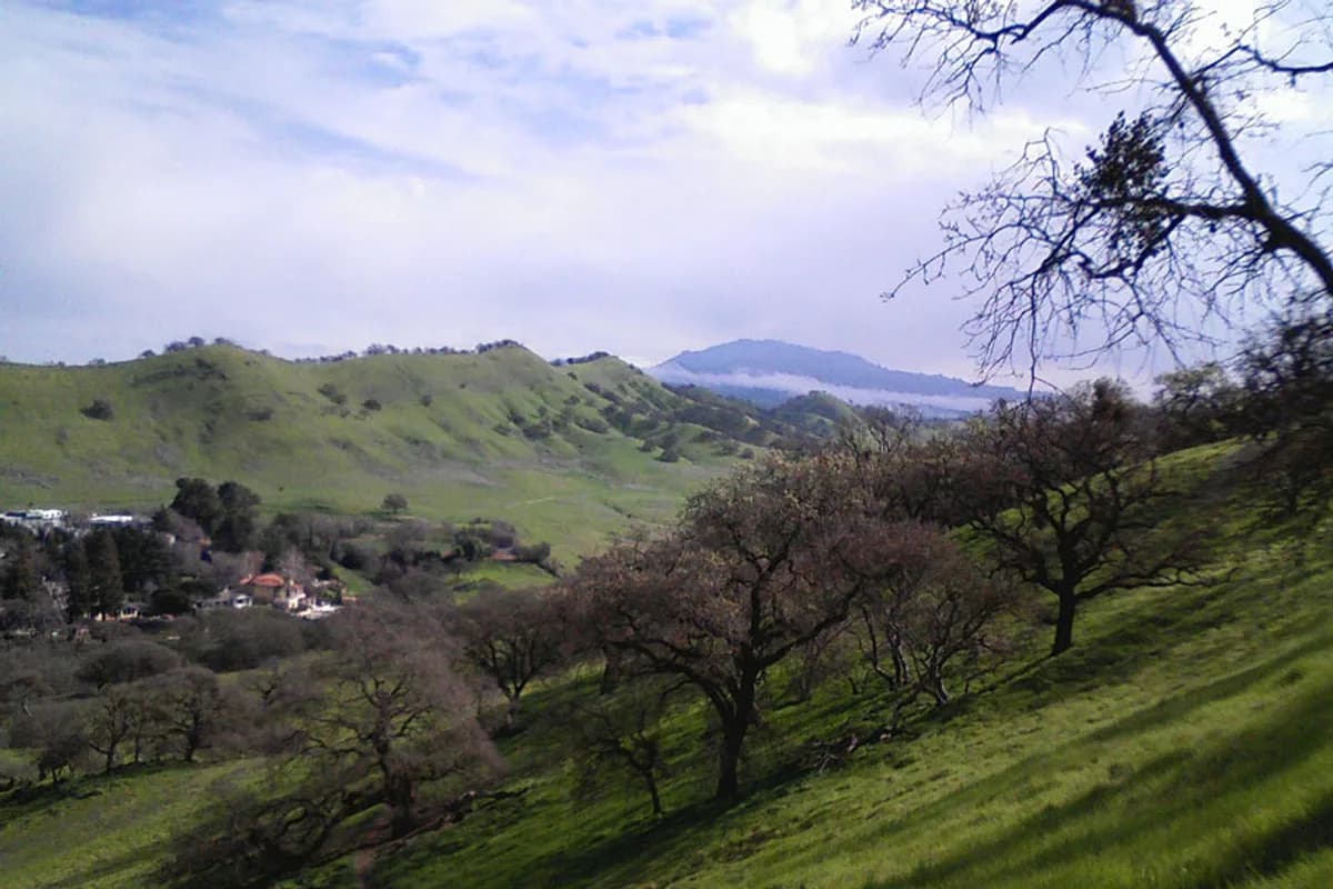 Walnut Creek, Contra Costa County