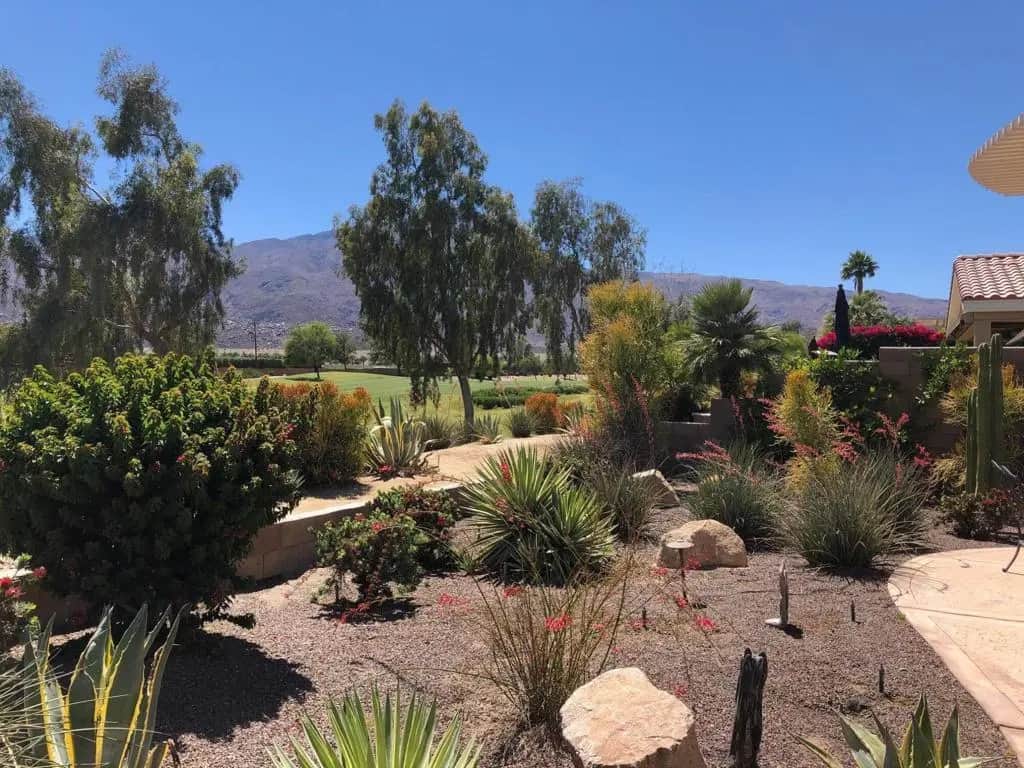 81565 Rustic Canyon Drive, La Quinta, CA — listing photo 1