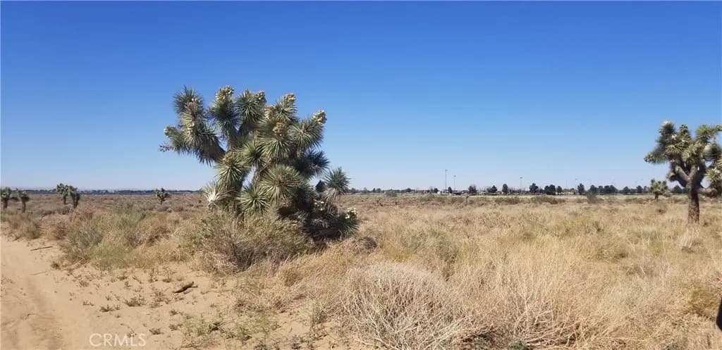 25 E Avenue L4, Palmdale, CA — listing photo 1