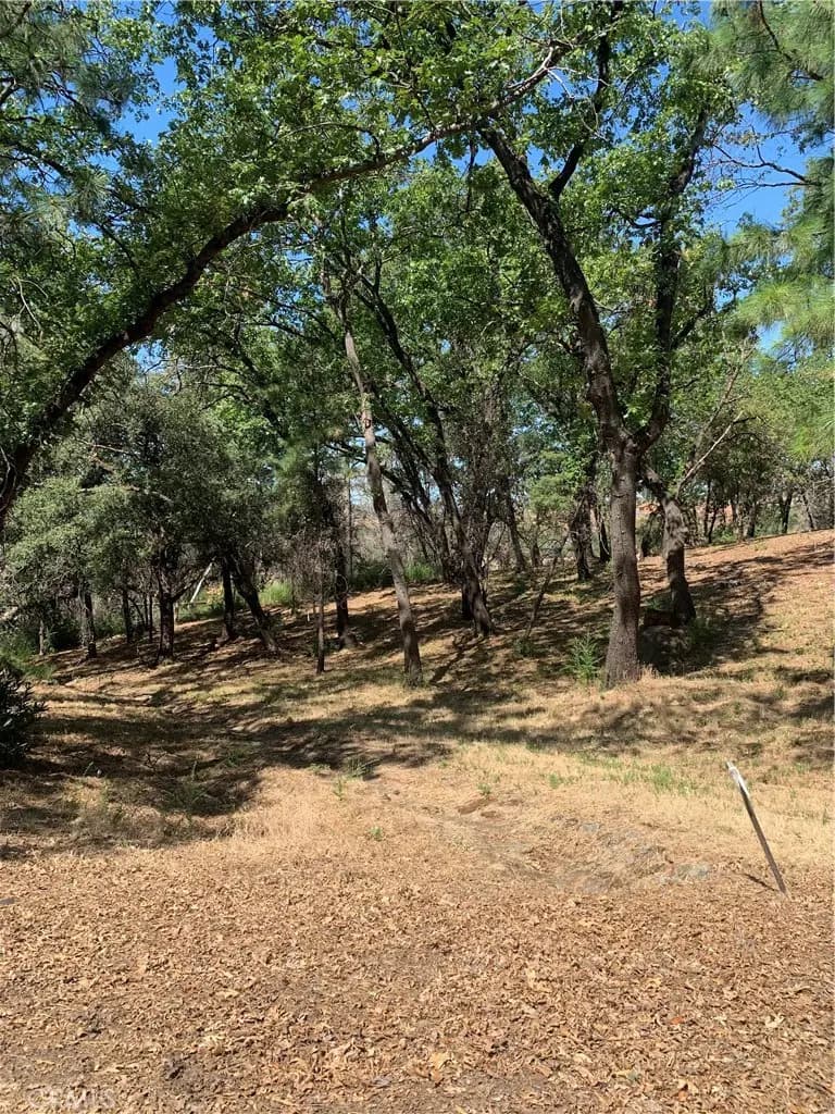 4896 Malibu Drive, Paradise, CA — listing photo 1