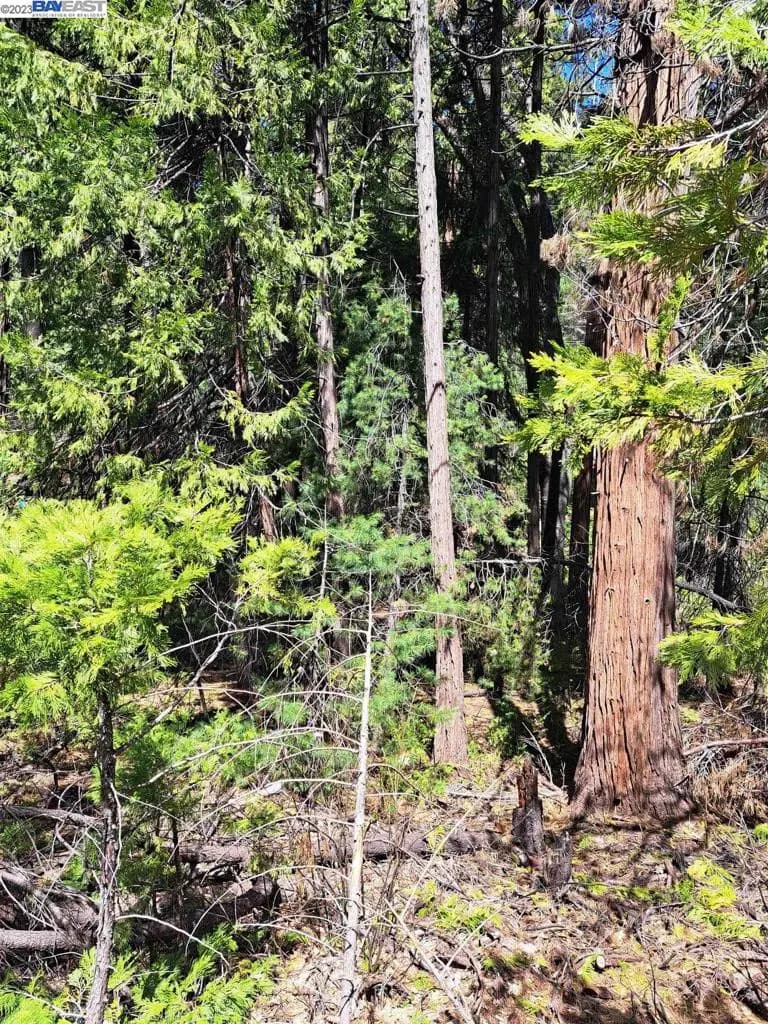 Address available on request, Pollock Pines, CA — listing photo 1