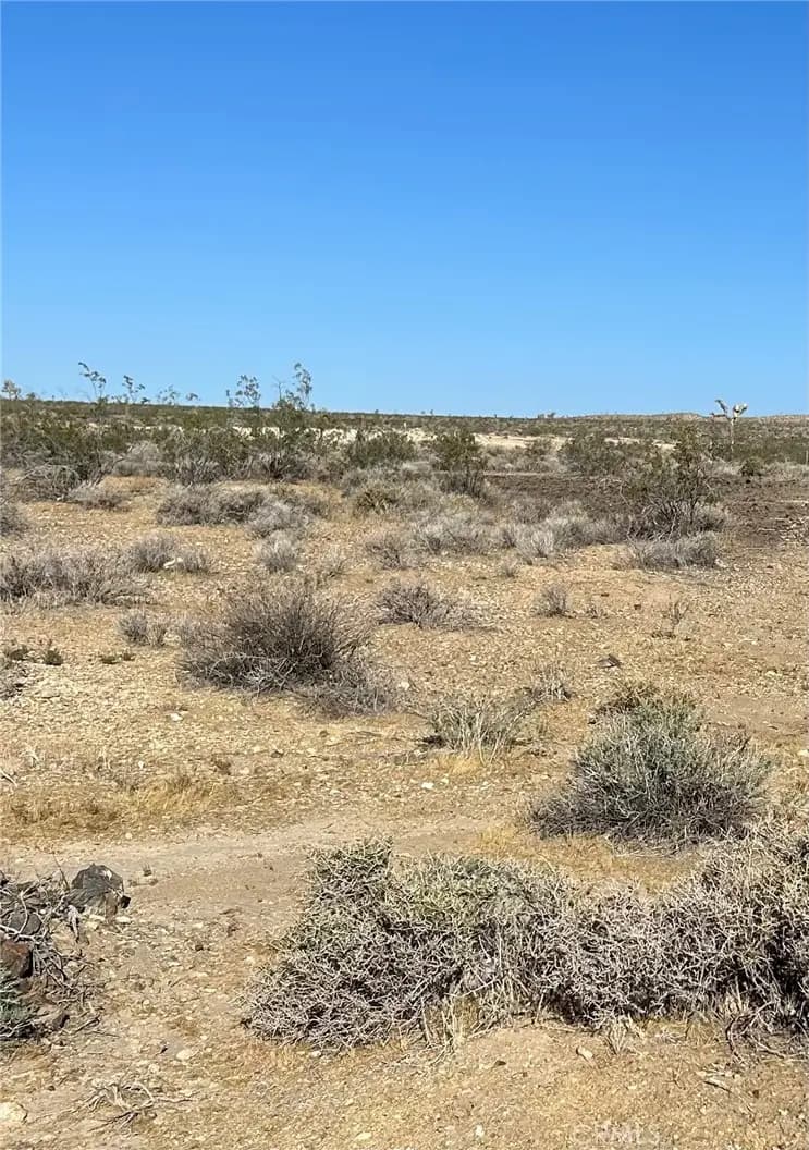 0 AP# 0462-651-13-0000, Adelanto, CA — listing photo 1