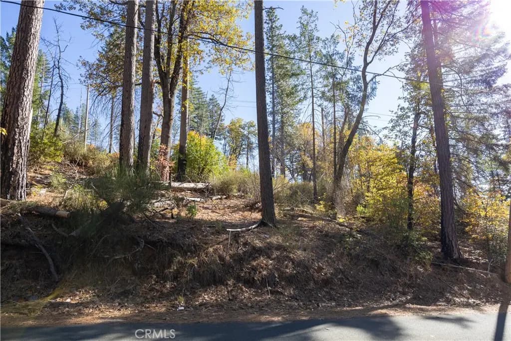 10991 Gifford Springs Road, Cobb, CA — listing photo 1