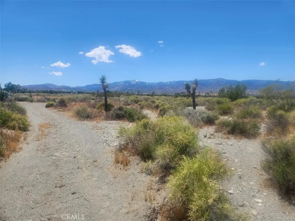 0 Minero Road, Pinon Hills, CA — listing photo 1