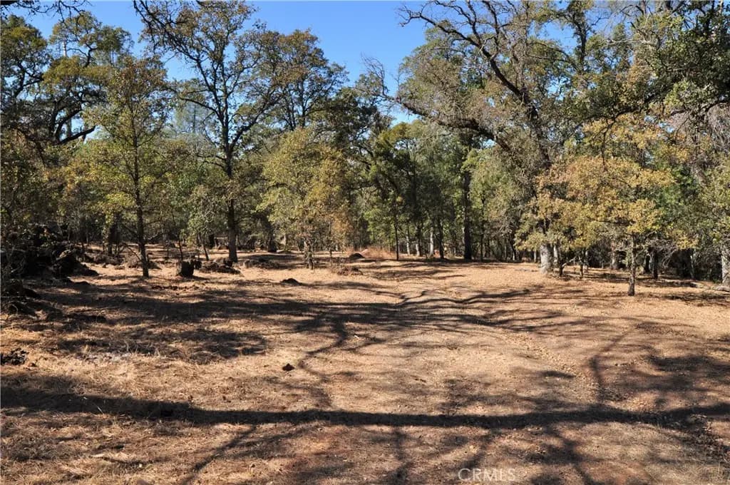 205 Cynthiann Lane, Oroville, CA — listing photo 1