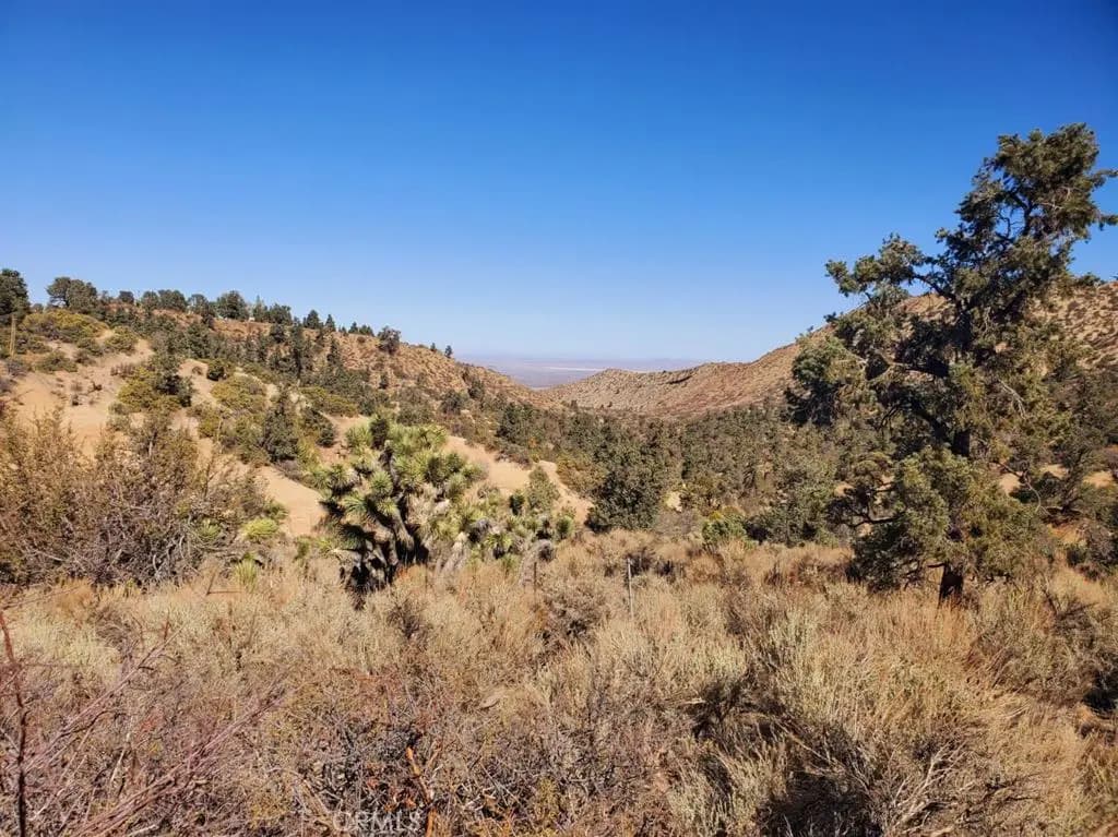 0 Old Valley Springs Road, Wrightwood, CA — listing photo 1