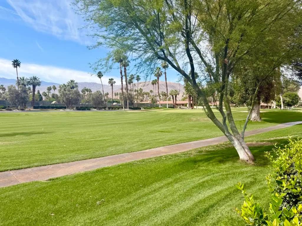 255 San Remo Street, Palm Desert, CA — listing photo 1