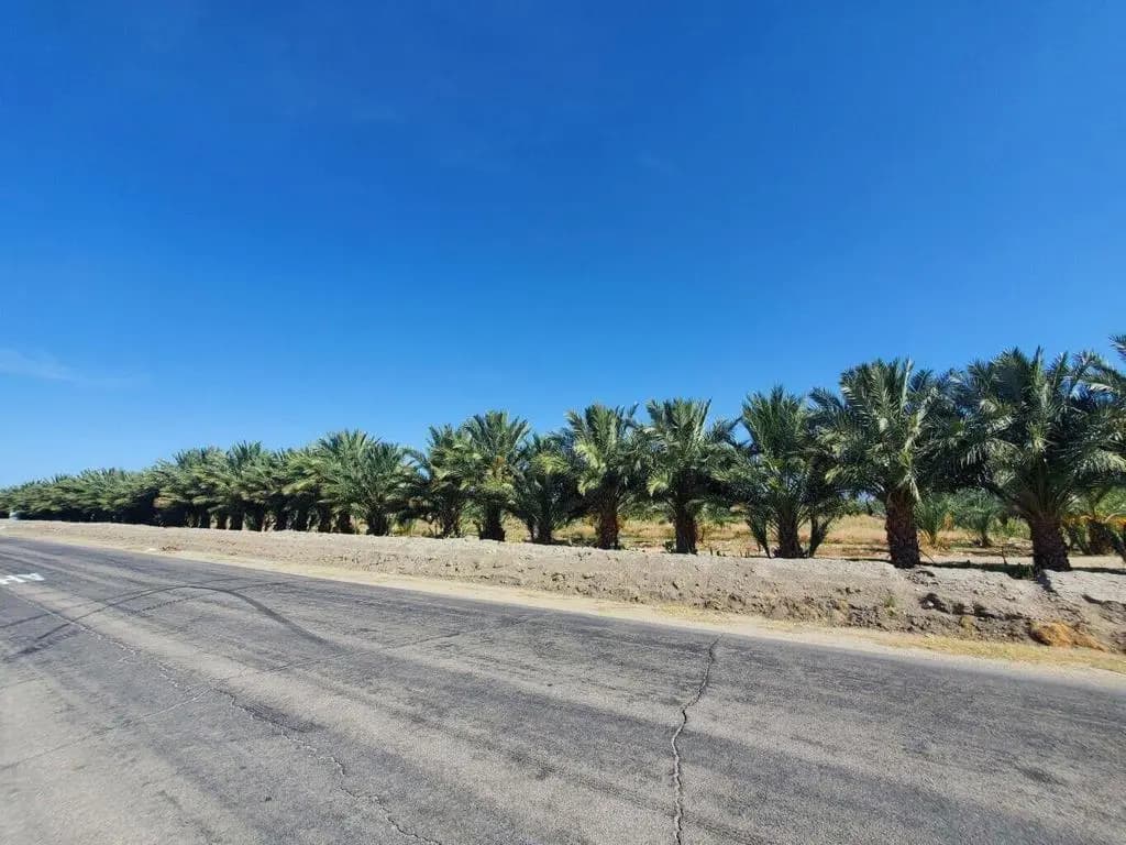 0 Calhoun Street, Coachella, CA — listing photo 1