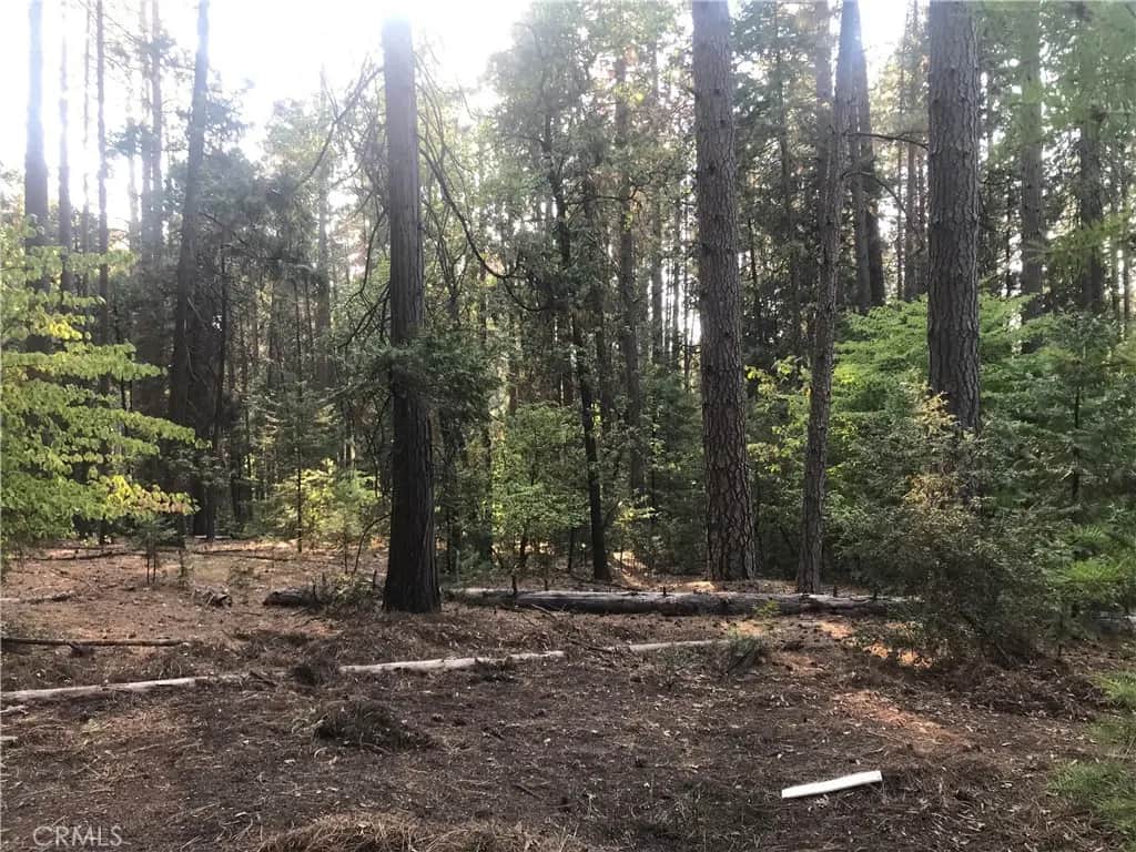 1 kaelin, Feather Falls, CA — listing photo 1