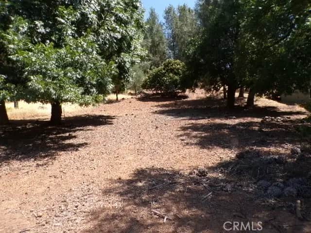 10318 Hok Has Ha Lane, Kelseyville, CA — listing photo 1