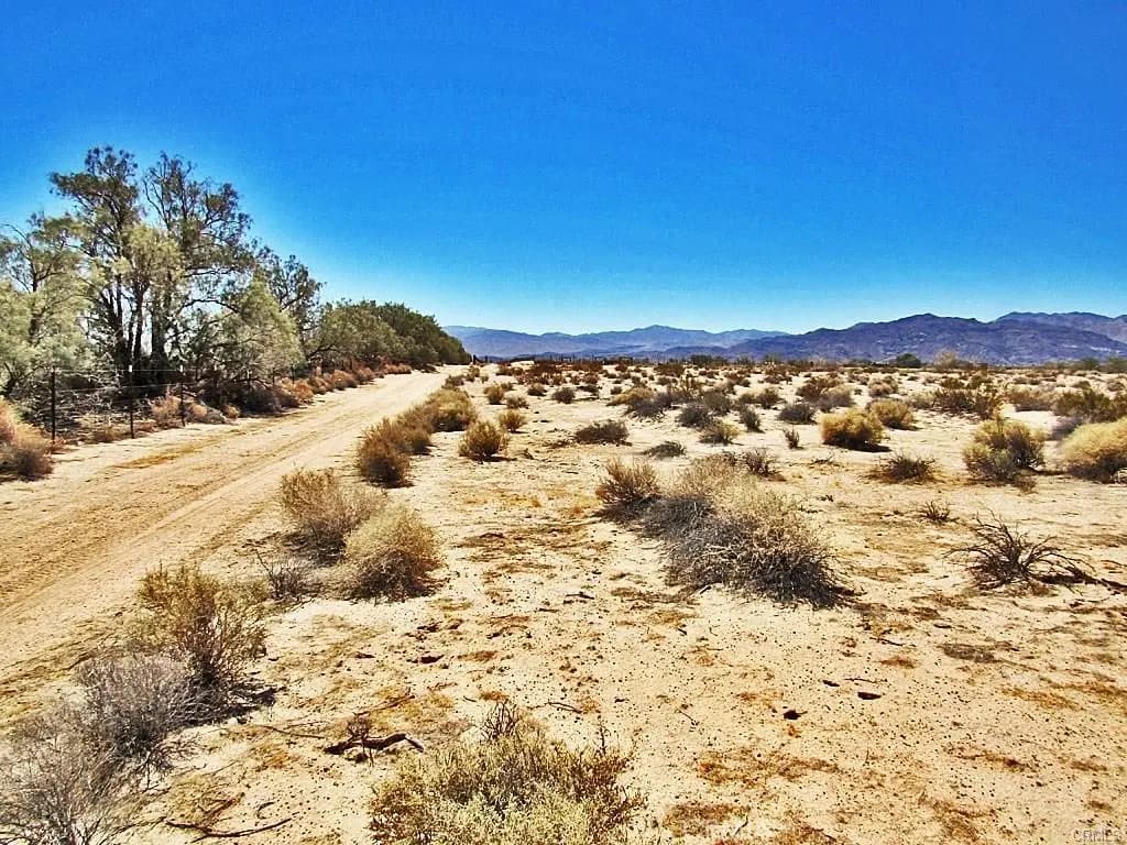 34348 Lakeview Avenue, Newberry Springs, CA — listing photo 1