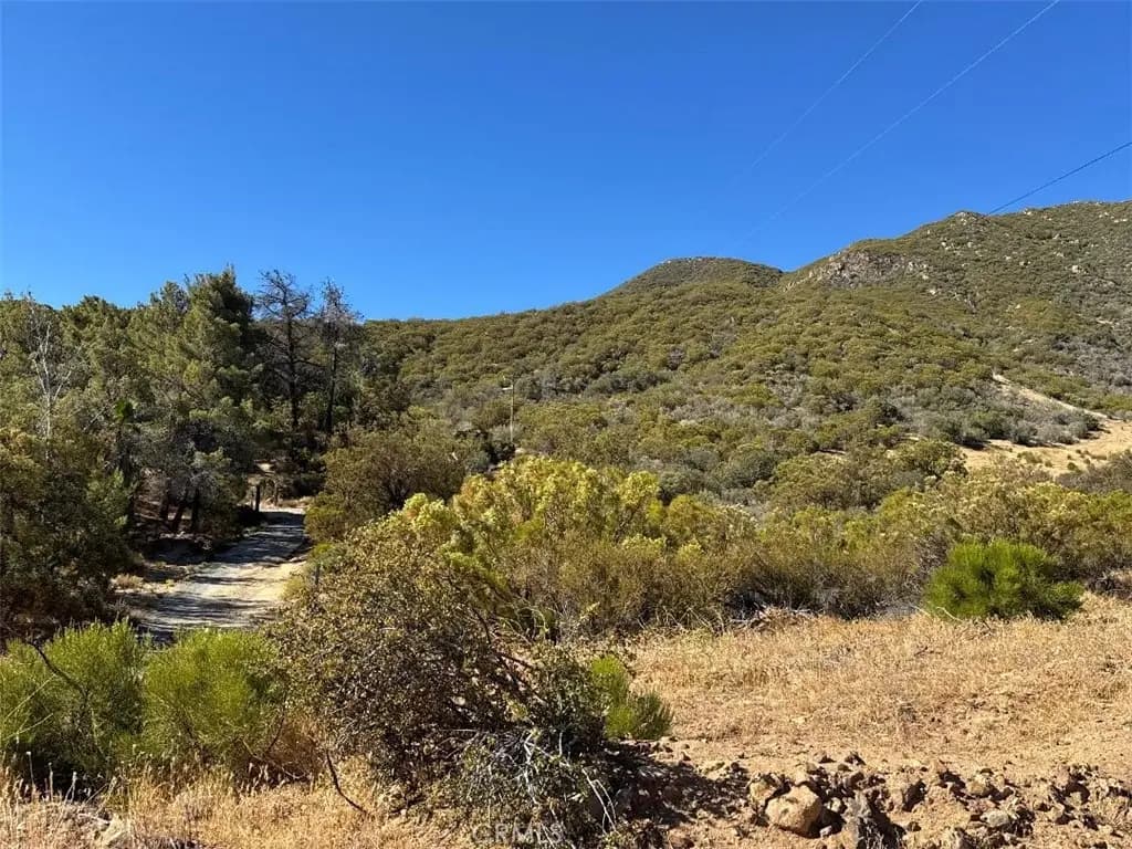 0 Chapman Road, Anza, CA — listing photo 1