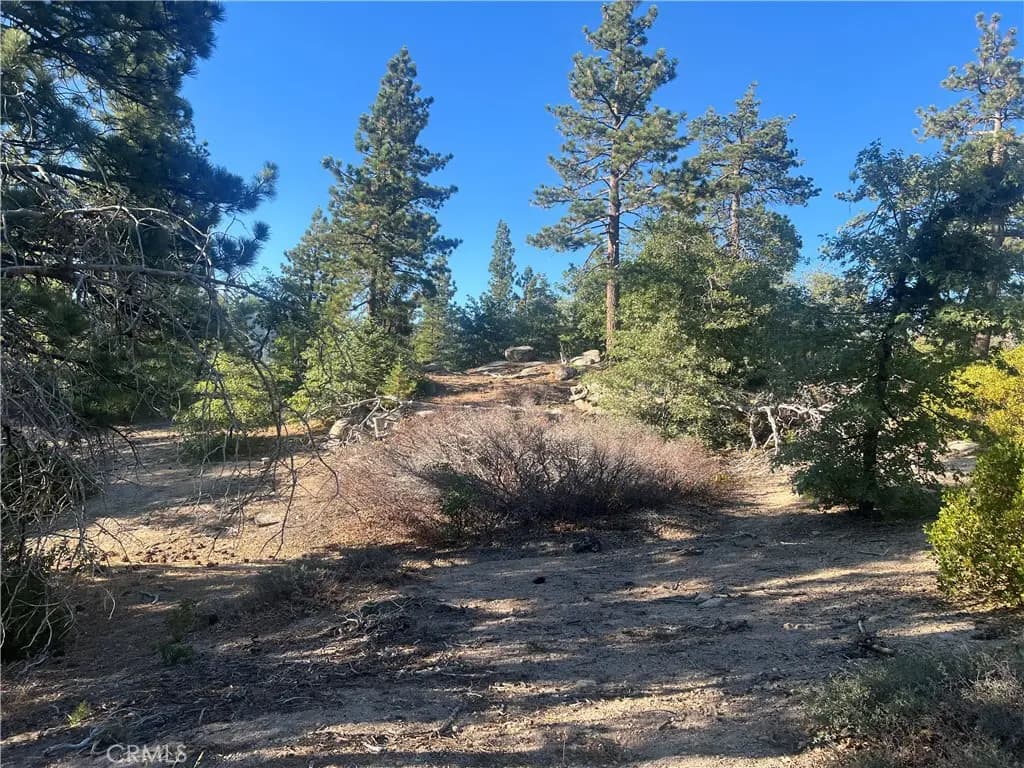 45 Deep Creek Drive, Running Springs, CA — listing photo 1