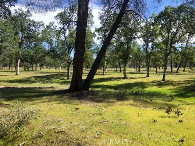 0 Cloverdale Road, Anderson, CA — listing photo 1