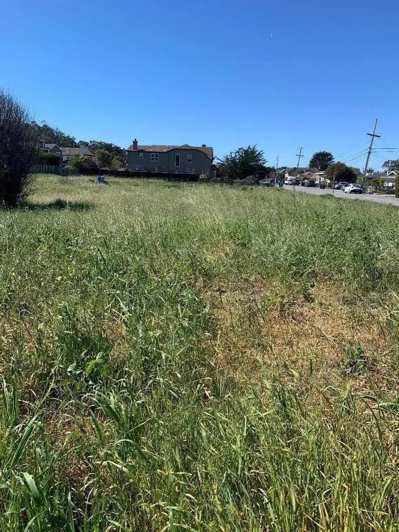 Magnolia Street, Half Moon Bay, CA — listing photo 1