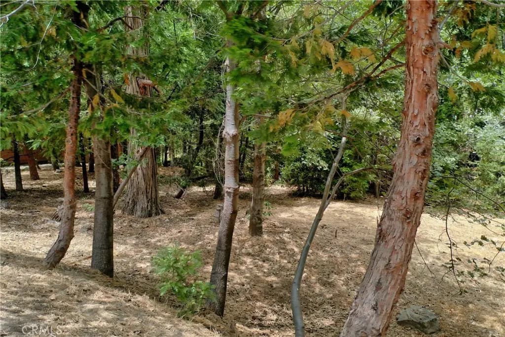 27513 Meadow Bay Drive, Lake Arrowhead, CA — listing photo 1