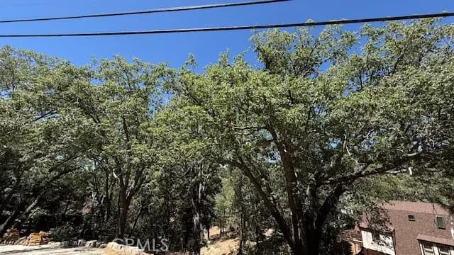 736 Dahlia Drive, Green Valley Lake, CA — listing photo 1