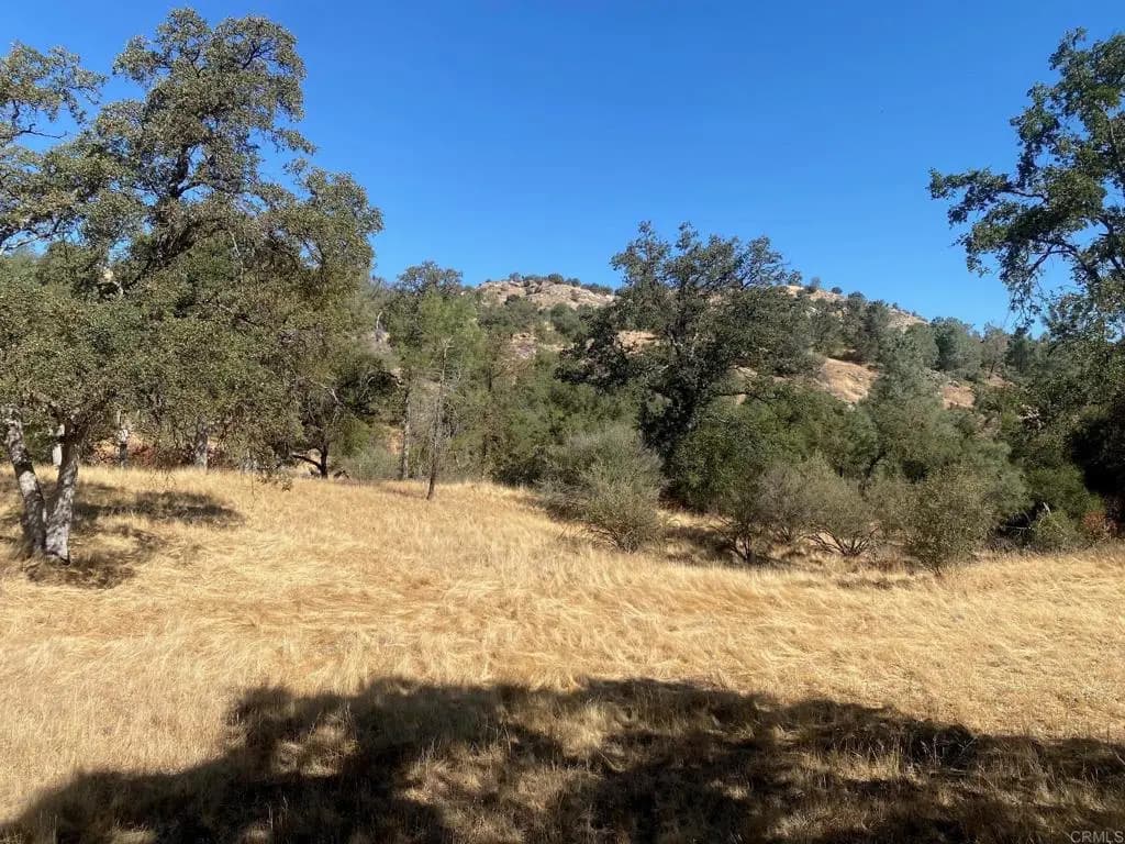 8 Tioga Drive, Coarsegold, CA — listing photo 1