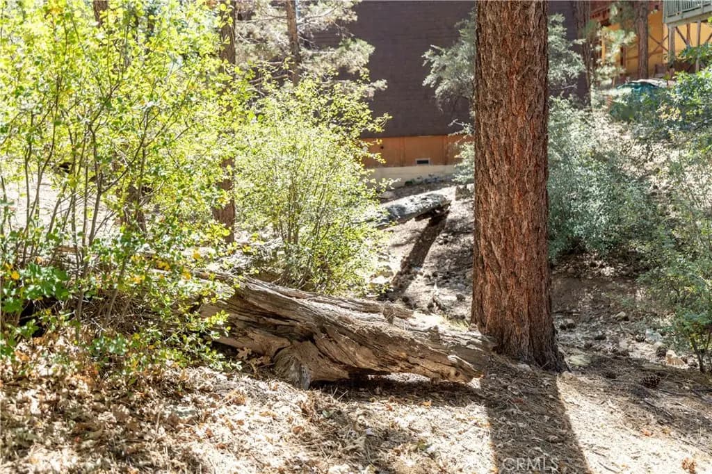 0 lot 44 Kern, Sugarloaf, CA — listing photo 1