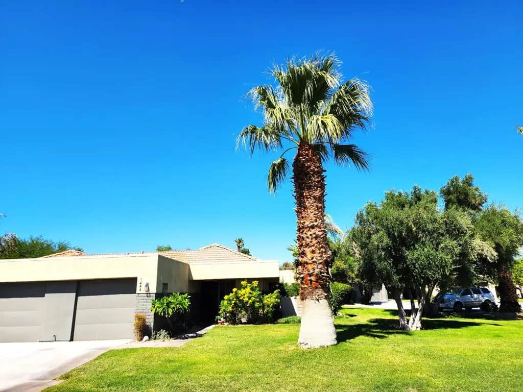 1444 Sunflower Circle N, Palm Springs, CA — listing photo 1