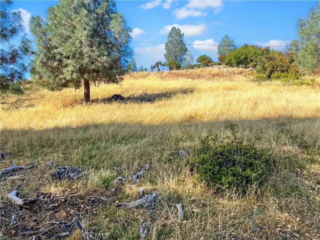 10203 El Capitan, Kelseyville, CA — listing photo 1