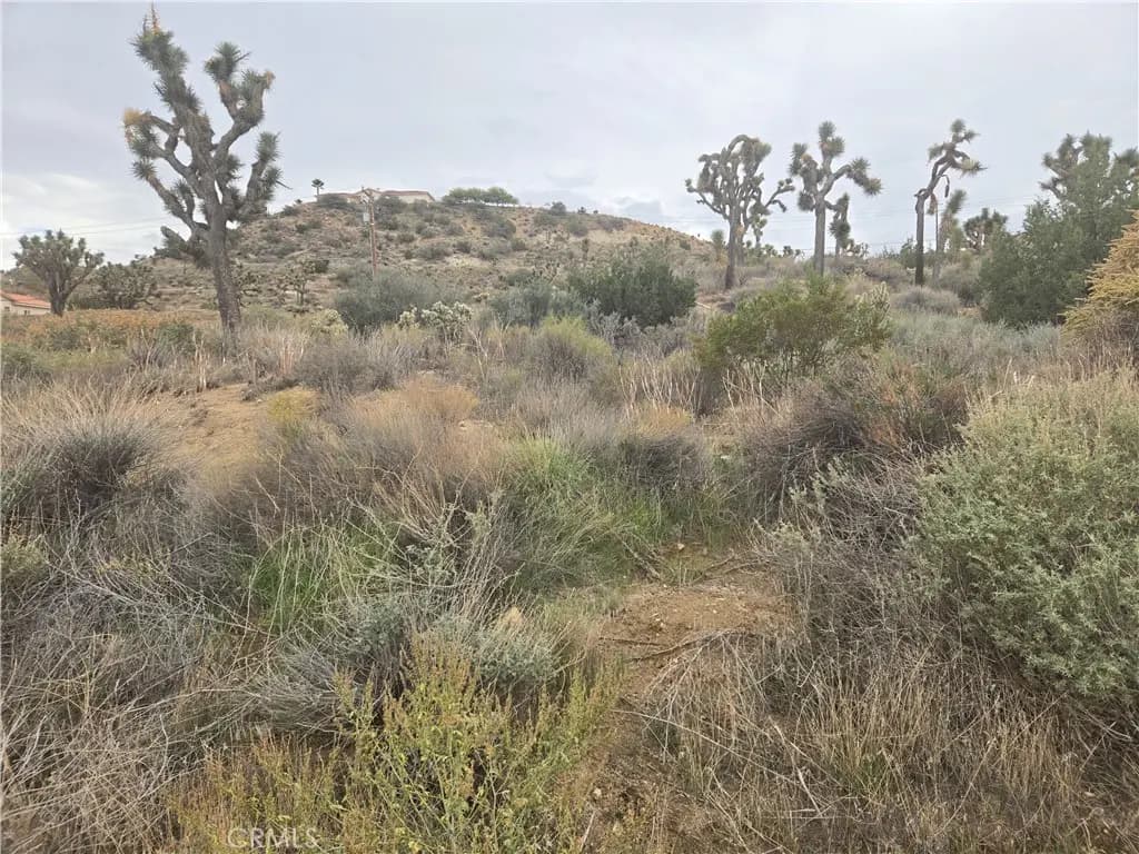 54777 Twentynine Palms Highway, Yucca Valley, CA — listing photo 1