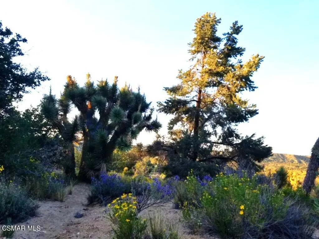 Off Big Pines Hwy. Road, Llano, CA — listing photo 1