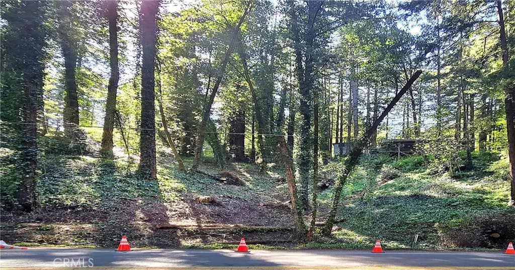 18176 HWY 116, Guerneville, CA — listing photo 1