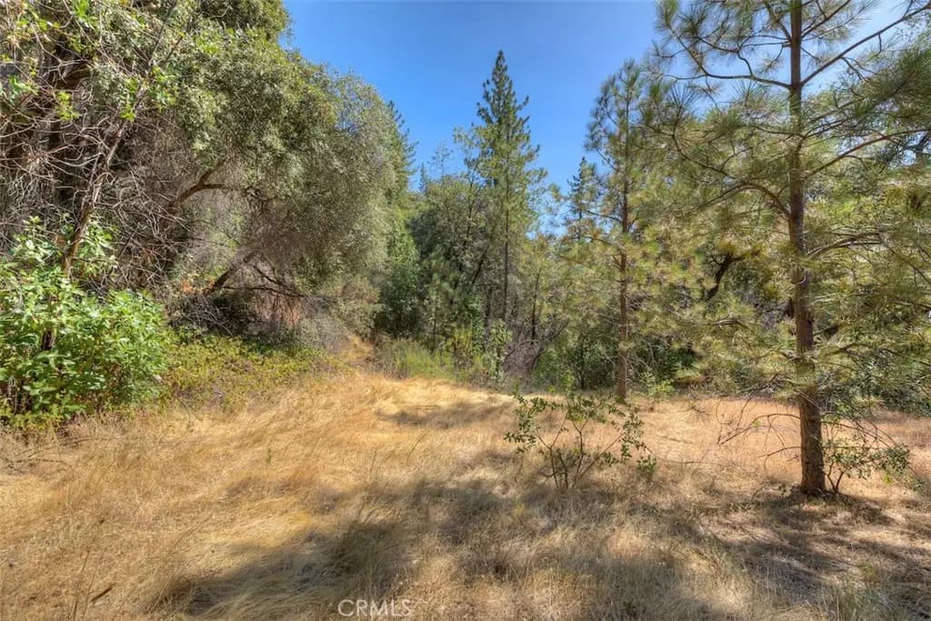 8700 Oro Quincy, Berry Creek, CA — listing photo 1