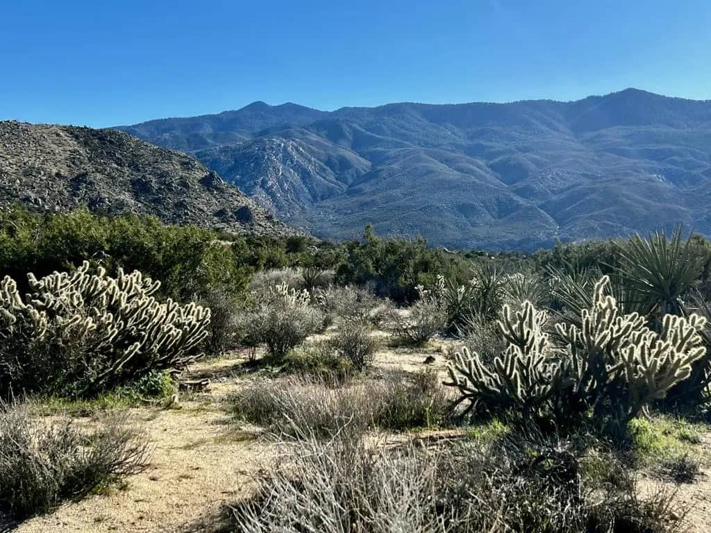 0 Apn# 635 393 007, Mountain Center, CA — listing photo 1