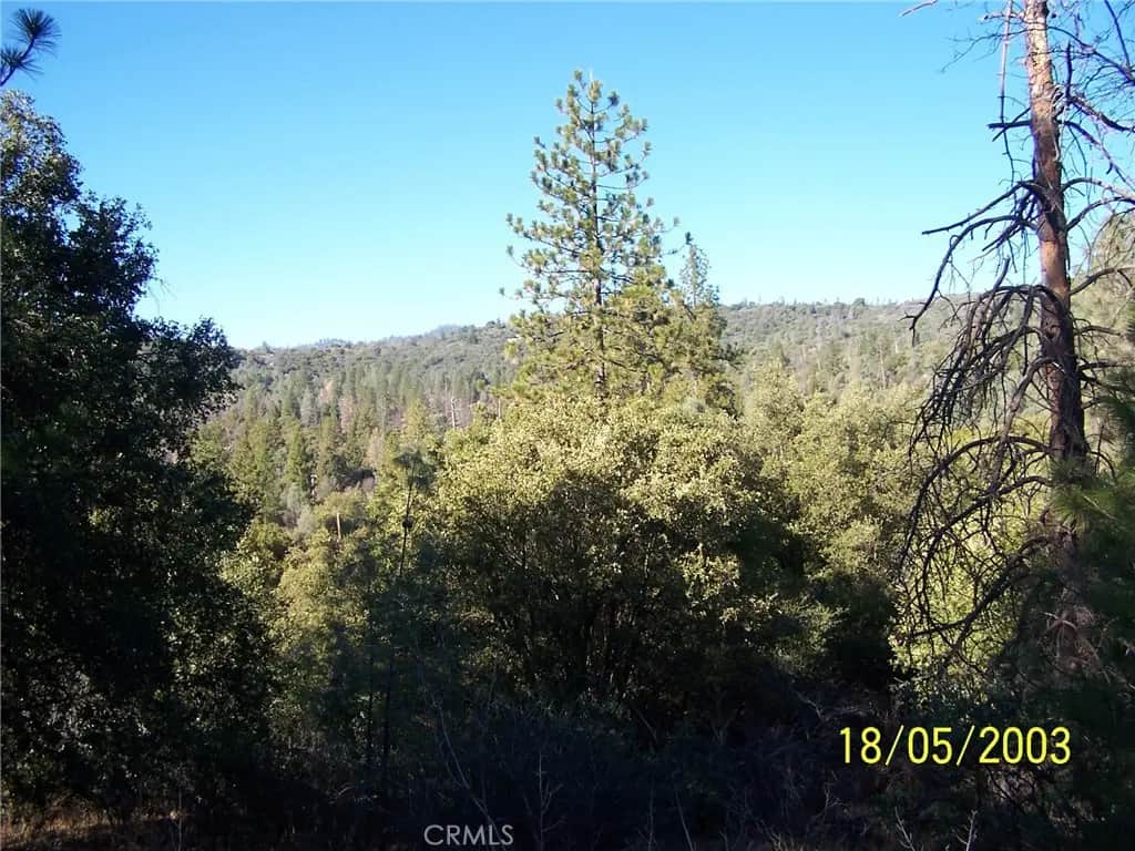 10 Jean Rd West, Oakhurst, CA — listing photo 1