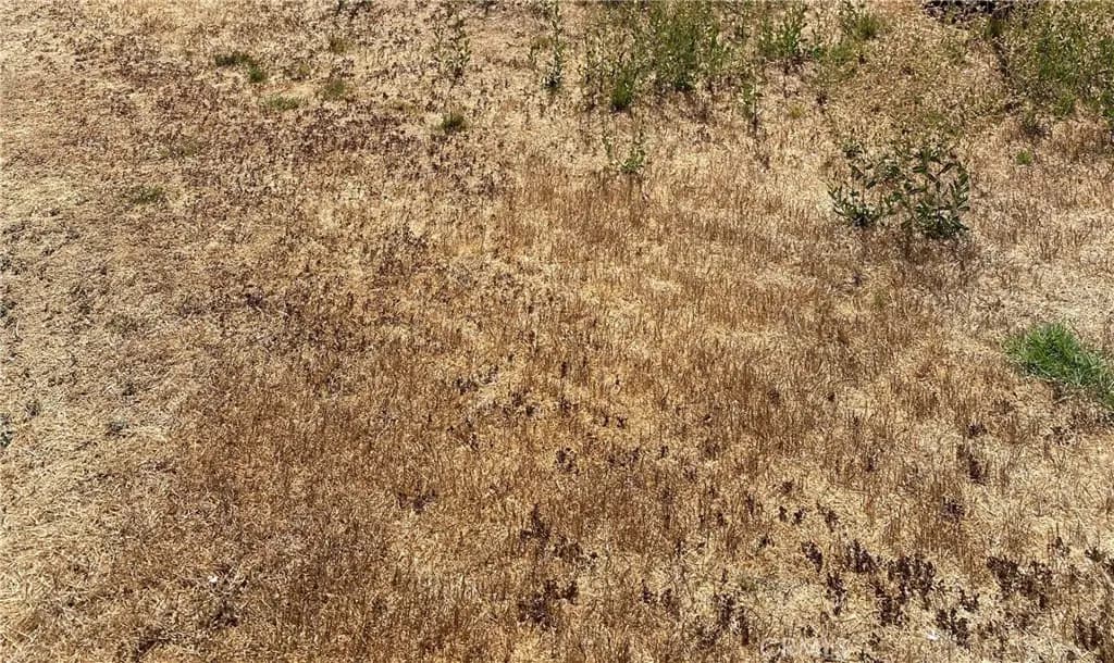 0 Vac/Ave G/Vic 125 Stw, Antelope Acres, CA — listing photo 1