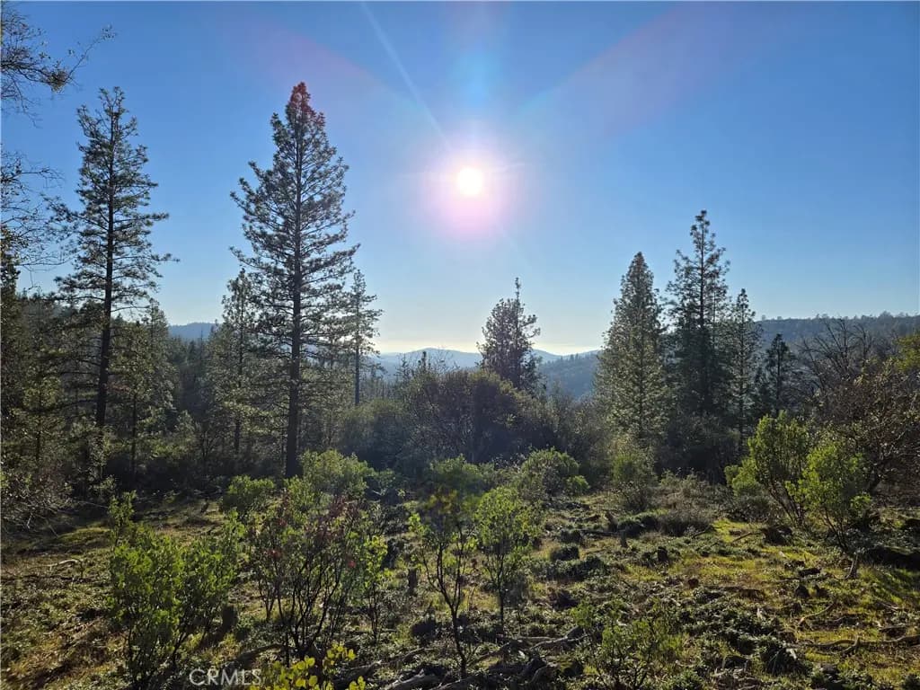 0 Double Eagle Way, Brownsville, CA — listing photo 1