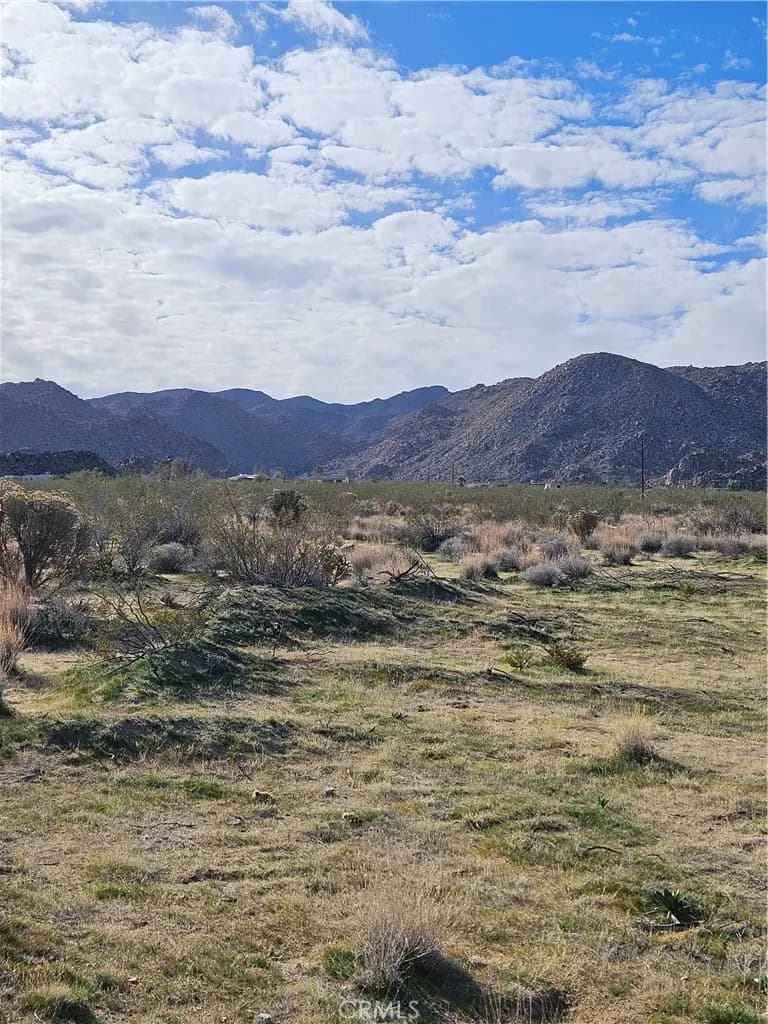 0 Cottonwood Drive, Joshua Tree, CA — listing photo 1