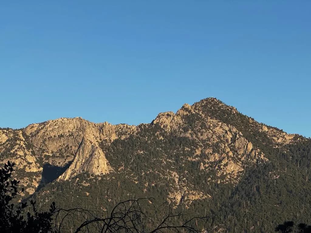 25327 Scenic View Drive, Idyllwild, CA — listing photo 1