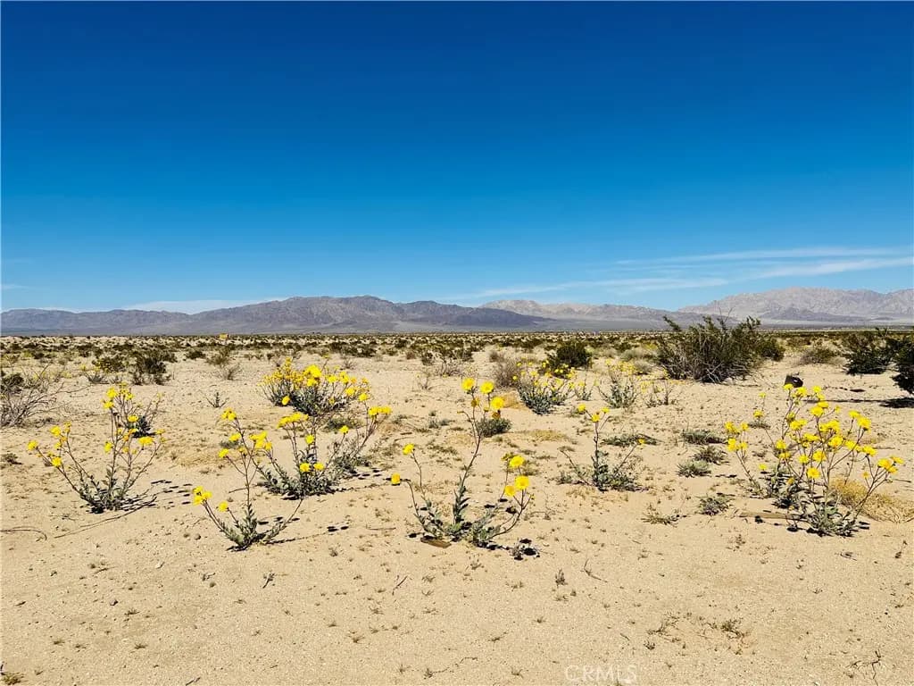 0 Near Shelton Road, 29 Palms, CA — listing photo 1