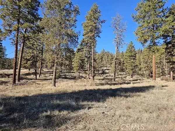 0 Susquehanna Road, Dorris, CA — listing photo 1