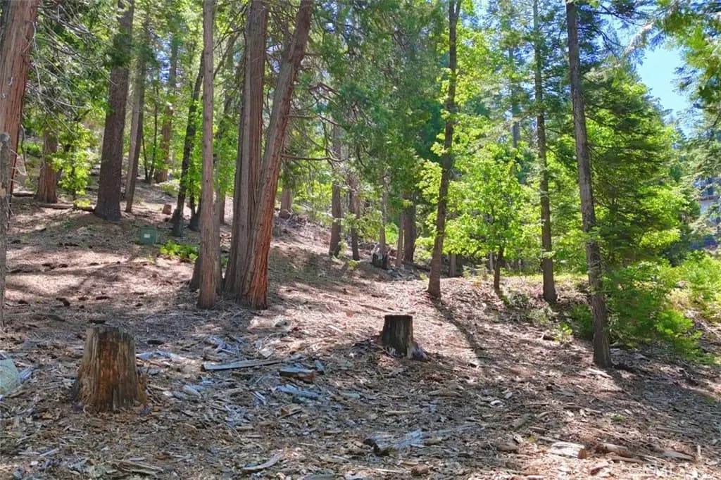 7220 Yosemite Park Way, Yosemite, CA — listing photo 1