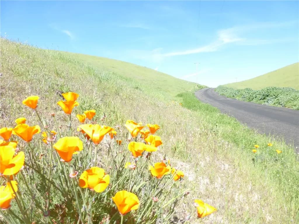 0 Douglas Rd. (Lot 28), San Miguel, CA — listing photo 1