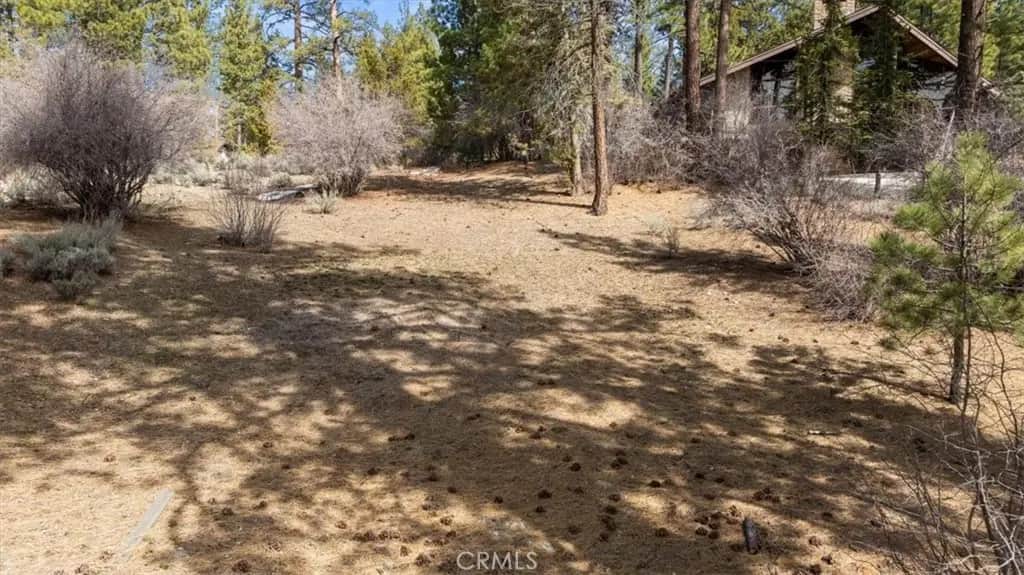 293 Catalina, Big Bear Lake, CA — listing photo 1