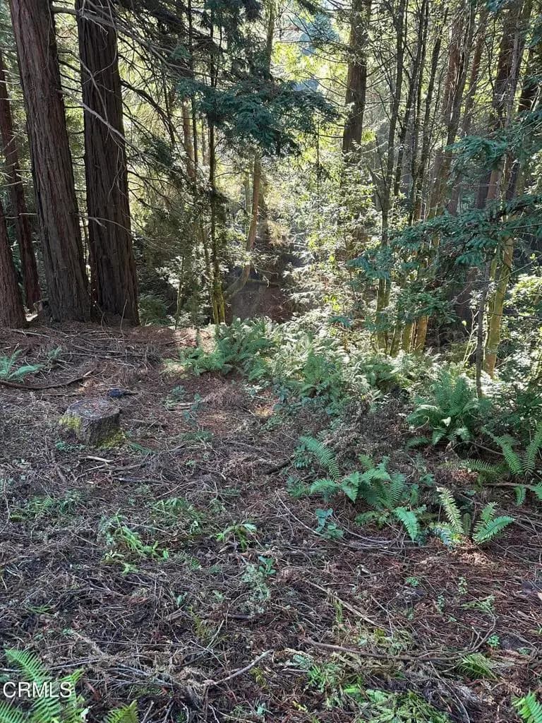 17500 Redwood Springs Drive, Fort Bragg, CA — listing photo 1