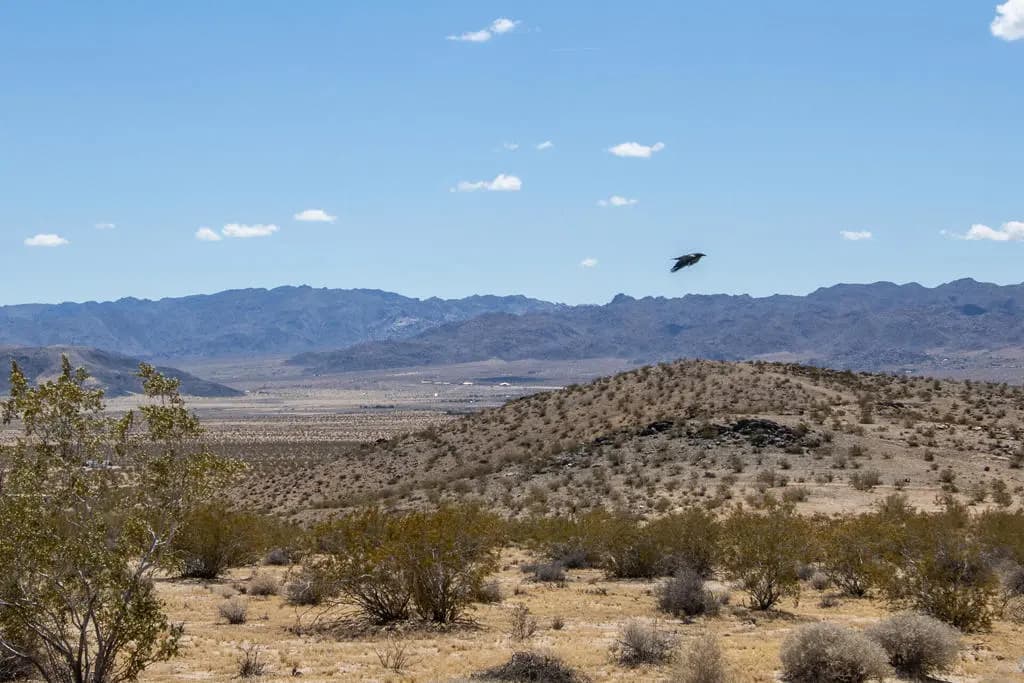 142 Shifting Sands, Joshua Tree, CA — listing photo 1
