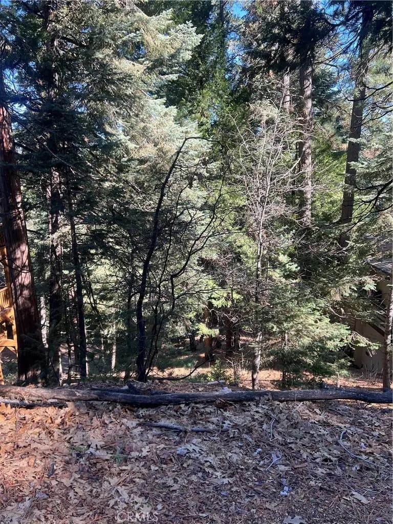 0 Forest, Twin Peaks, CA — listing photo 1