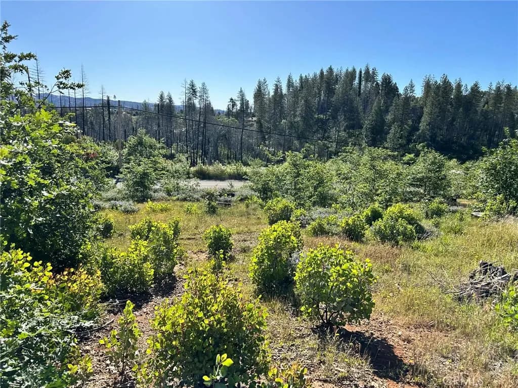 0 Katella, Berry Creek, CA — listing photo 1