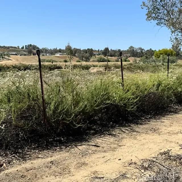 31895 Nicolas, Temecula, CA — listing photo 1