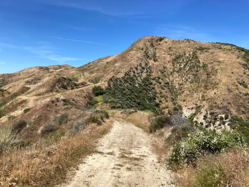 7003 Loma Verde Mountainway, Castaic, CA — listing photo 1