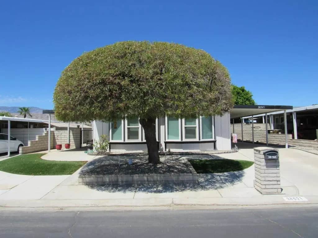 38521 Commons Valley Drive, Palm Desert, CA — listing photo 1